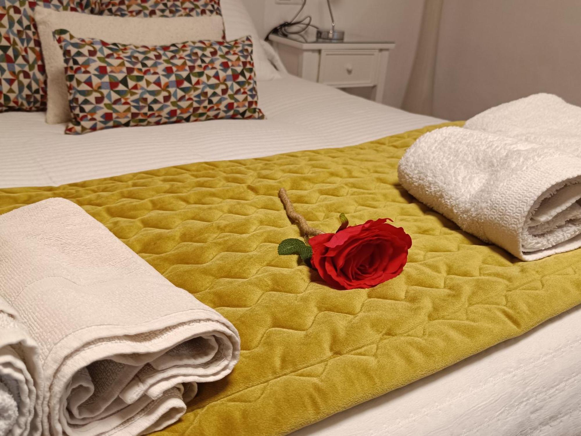 Flor De Lis 1 Apartment Caceres Luaran gambar